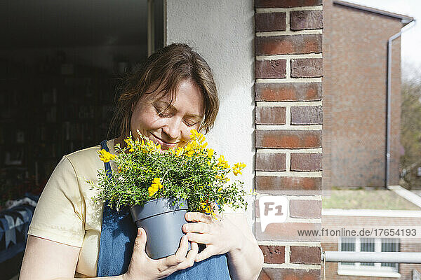 Lächelnde Frau mit geschlossenen Augen umarmt an einem sonnigen Tag eine süße Ginster-Topfpflanze auf dem Balkon