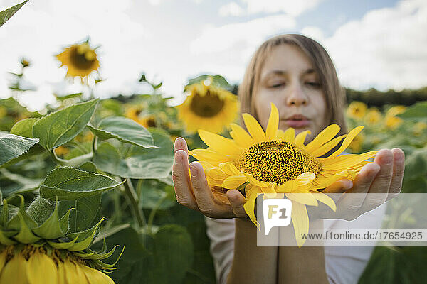 Woman holding yellow sunflower standing in field