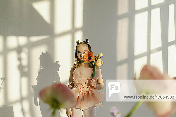 Mädchen hält Blume im Gesicht und steht vor einer weißen Wand