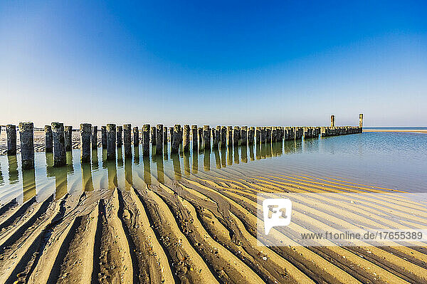 Netherlands  Zeeland  Groyne on sandy coastal beach of Walcheren peninsula