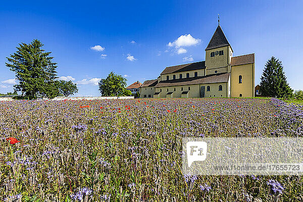 Germany  Baden-Wurttemberg  Reichenau Island  Summer meadow in front of Church of Saint George