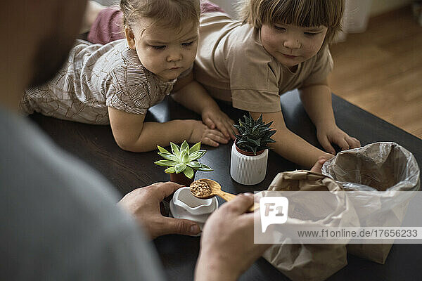 Father and son and daughter repotting plants in a new pot