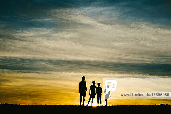 Four siblings silhouettes by summer golden sunset