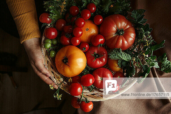 red and yellow tomatoes in a basket holding hands