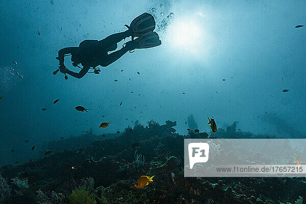 diver exploring the wreck of the USS Liberty of the coast of Bali