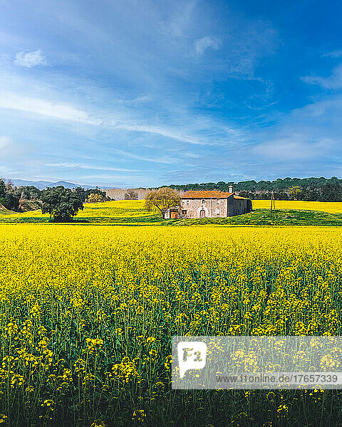 Idyllic view of solitary house amongst fields in Tordera  Spain