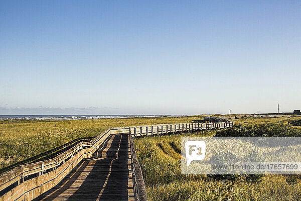 An empty wooden boardwalk leading to the beach across grassy dunes