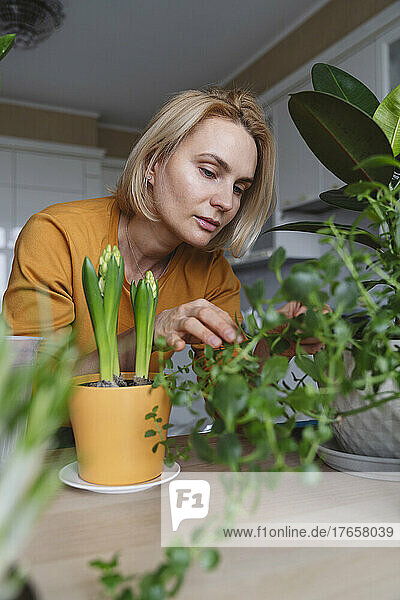 A nice woman in a yellow jacket takes care of house plants.