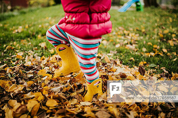 Toddler girl stomps through pile of leaves in yellow boots