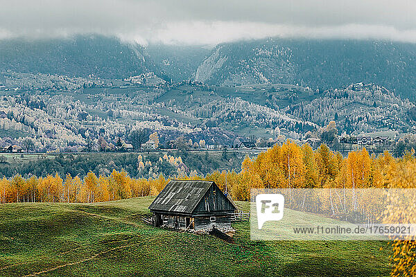 Old barn in the mountains surrounded by colorful trees during autumn