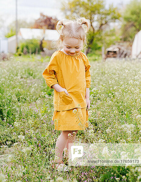 little girl with pigtails in yellow dress standing in field of flowers