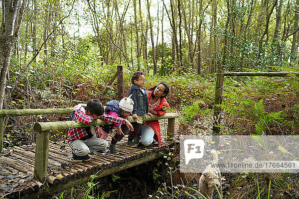 Mother and children with dog on footbridge in woods