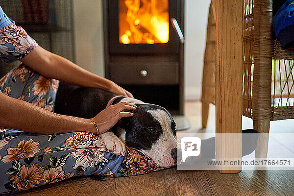 Woman petting dog on floor by fireplace
