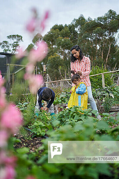 Mutter und Kinder bei der Gartenarbeit im Gemüsegarten