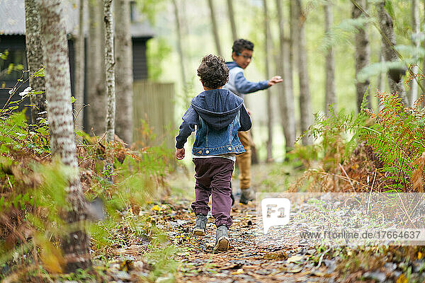 Brüder laufen auf einem Waldweg