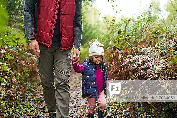 Vater und kleine Tochter wandern auf einem Pfad im Wald