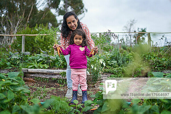 Porträt glückliche Mutter und Kleinkind Tochter ernten Karotten im Garten