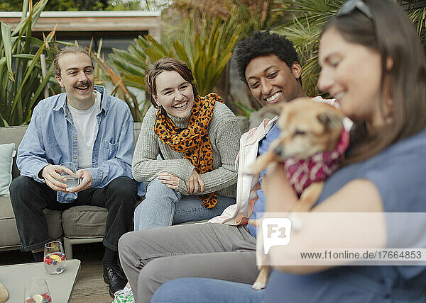 Glückliche Freunde mit Hund auf der Veranda