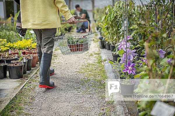 Frau trägt Korb mit Topfpflanzen in einem Gartengeschäft
