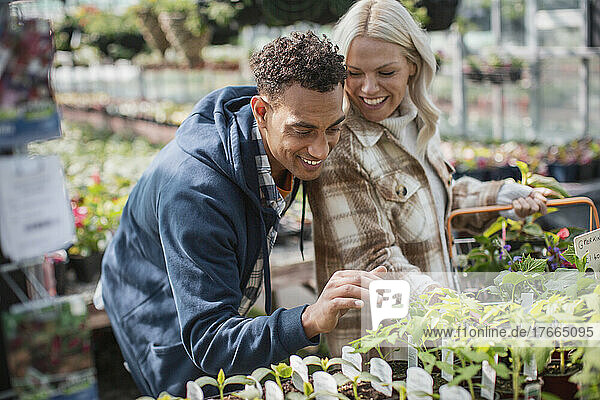 Glückliches Paar beim Einkaufen von Pflanzen in einem Gartengeschäft