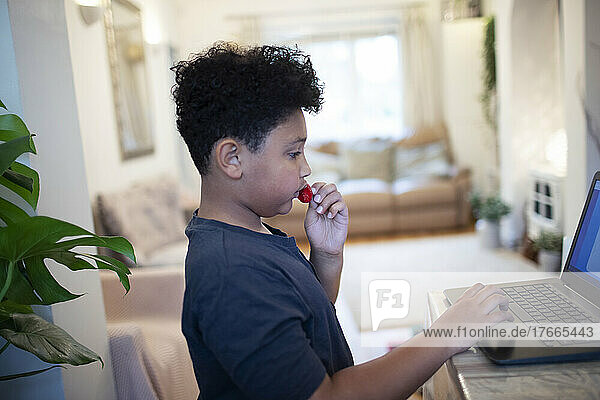 Boy eating strawberries at laptop at home