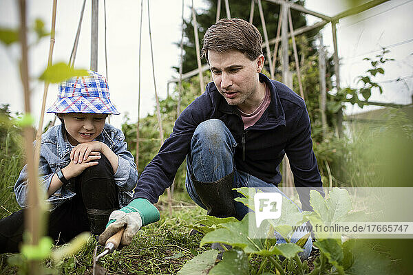Father and son gardening in vegetable garden