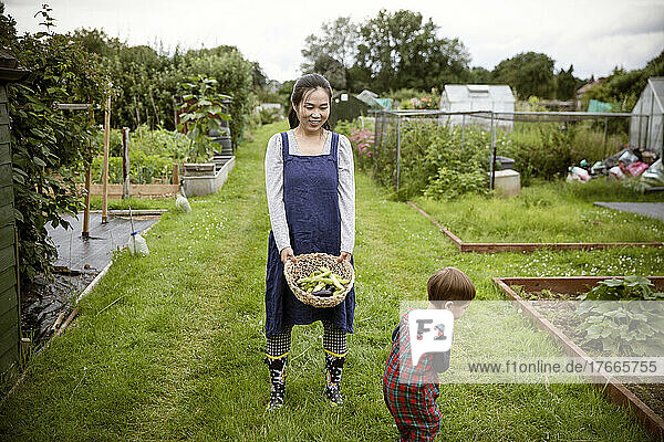 Mother and toddler son harvesting vegetables in garden