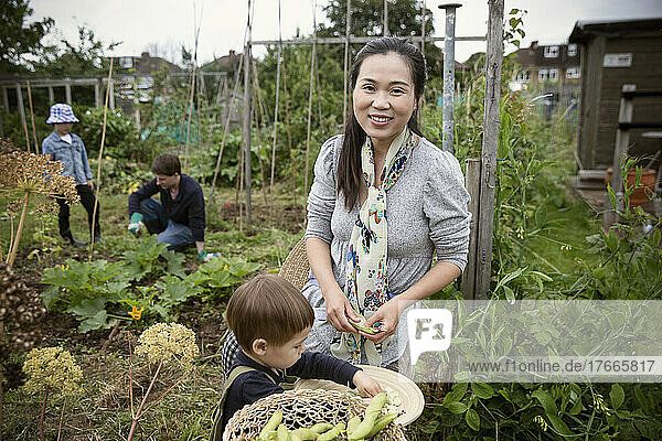 Portrait happy mother and son harvesting vegetables in garden