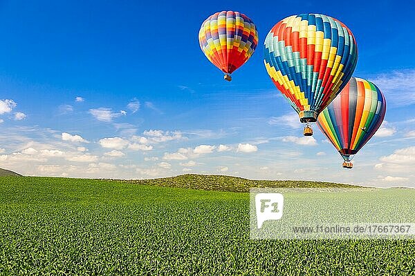 Heißluftballons über üppiger grüner Landschaft und blauem Himmel