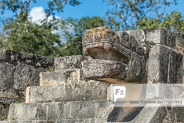 Skulpturen von Maya-Jaguarfiguren in der archäologischen Stätte von Chichen Itza  Mexiko  Mittelamerika
