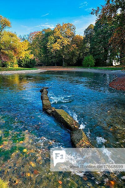 Golden autumn fall October in famous Munich relax place  Englishgarten  English garden with with river and fallen leaves and golden sunlight  Munchen