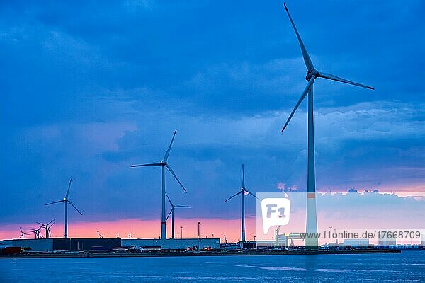 Wind turbines power electricity generators in Antwerp port in the evening  Antwerp  Belgium  Europe