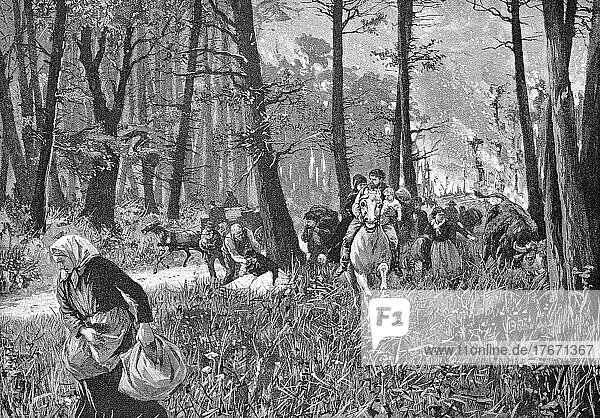 Bauern fliehen vor einem Waldbrand,  mit Hausrat und Tieren,  Historisch,  digitale Reproduktion einer Originalvorlage aus dem 19. Jahrhundert