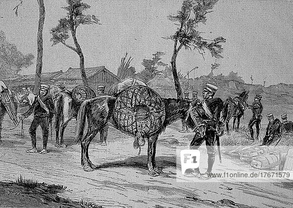 Japanische Manöver. Packen der Pferde mit großen Kesseln für das Reiskochen in einem Catering-Konvoi  1887  Japan  Historisch  digitale Reproduktion einer Originalvorlage aus dem 19. Jahrhundert  Asien