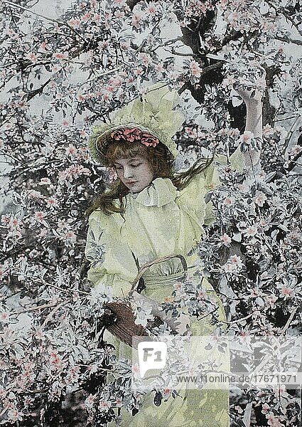 Mädchen steht unter einem Baum in der vollen Blüte  Historisch  digitale Reproduktion einer Originalvorlage aus dem 19. Jahrhundert