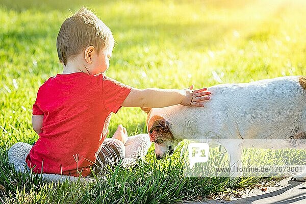 Niedlicher kleiner Junge sitzt im Gras und streichelt seinen Hund