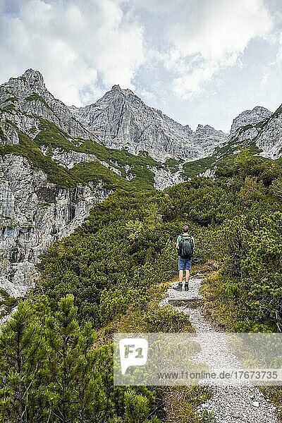 Hikers on a hiking trail  ascent to Mitterhorn through valley at Lasbach  green mountain landscape  Nuaracher Höhenweg  Loferer Steinberge  Tyrol  Austria  Europe