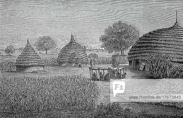 Bauernhof der Ureinwohner vom Stamm der Dinka  Afrik  im Jahre 1870a  am oberen Nil  Sudan  Historisch  digital restaurierte Reproduktion einer Vorlage aus dem 19. Jahrhundert  Genaues Datum unbekannt  Afrika