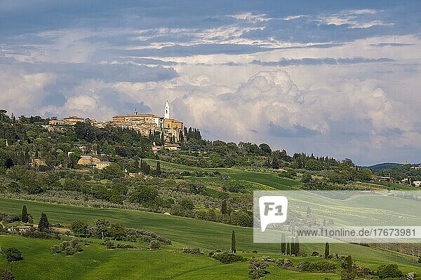 Blick auf Pienza  Val d'Orcia  Orcia-Tal  UNESCO-Weltkulturerbe  Provinz Siena  Toskana  Italien  Europa