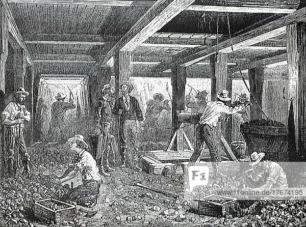 Arbeiter in den Silberminen von Nevada im Jahre 1880  USA  Historisch  digital restaurierte Reproduktion einer Vorlage aus dem 19. Jahrhundert  genaues Datum unbekannt  Nordamerika