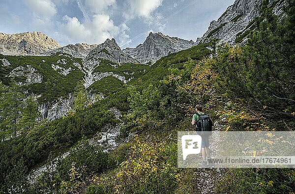 Hikers on a hiking trail  ascent to Mitterhorn through valley at Lasbach  green mountain landscape  Nuaracher Höhenweg  Loferer Steinberge  Tyrol  Austria  Europe