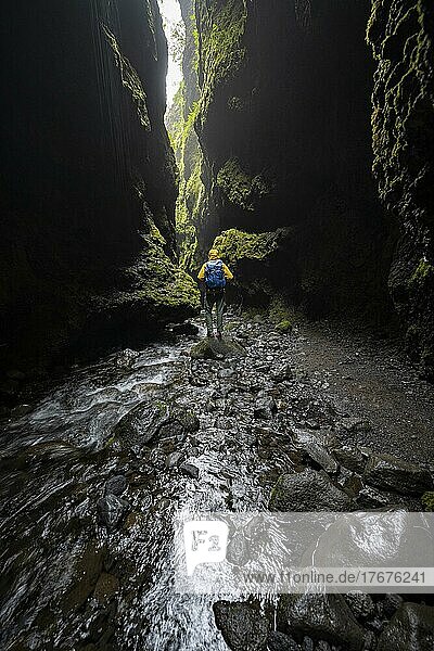 Hiker in moss-covered gorge  river in Nauthúsagil Gorge  South Iceland  Iceland  Europe