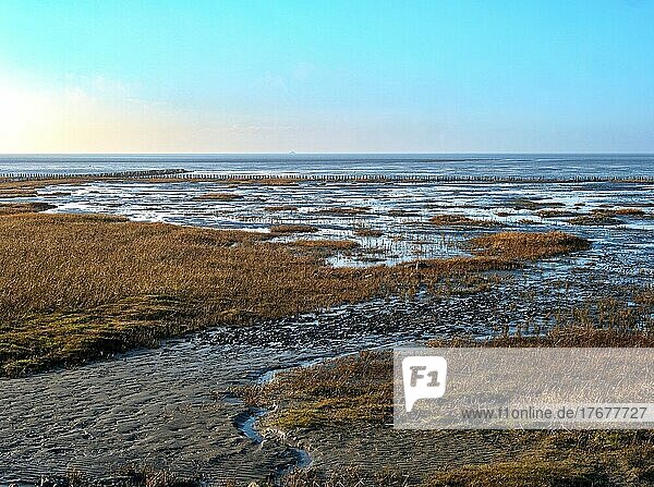 Dike and mudflat landscape on the North Frisian coast of Friedrichskoog  with the North Sea and the Schleswig-Holstein Wadden Sea National Park behind