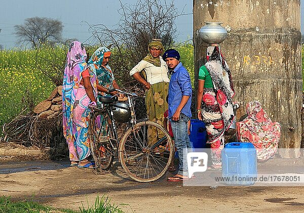 North India  Rajasthan  woman and a man with a bicycle fetch water at the well  in a village near Bharatpur  India  Asia