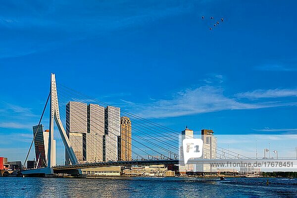 Rotterdam cityscape with Erasmus bridge over Nieuwe Maas river on sunset. Netherlands