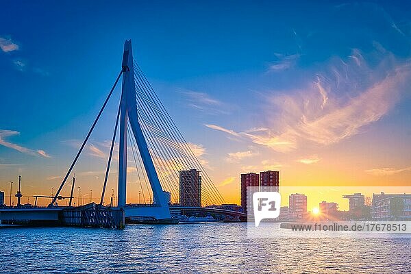 Erasmus Bridge (Erasmusbrug) and Rotterdam skyline on sunset over Nieuwe Maas river. Rotterdam  Netherlands