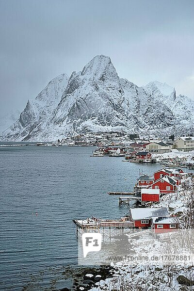 Fischerdorf Reine auf den Lofoten mit roten Rorbu-Häusern im Winter mit Schnee. Norwegen
