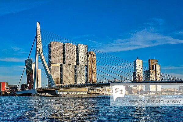 Erasmus bridge over Nieuwe Maas river on sunset with speed boat passing under the bridge. Rotterdam  Netherlands