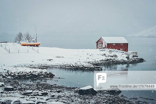 Traditionelles rotes Rorbu-Haus am Fjordufer mit viel Schnee im Winter. Lofoten Inseln  Norwegen  Europa