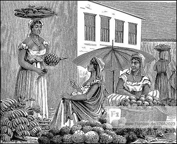 Marktfrauen in Carthagene  Kolumbien  Fraün im 19. Jahrhundert  digital restaurierte Reproduktion einer Vorlage aus dem 19. Jahrhundert  Originaldatum nicht bekannt  Südamerika